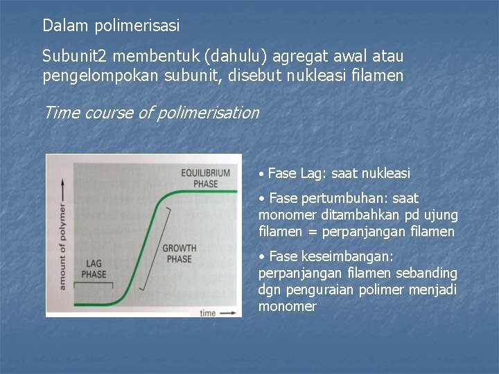 Dalam polimerisasi Subunit 2 membentuk (dahulu) agregat awal atau pengelompokan subunit, disebut nukleasi filamen