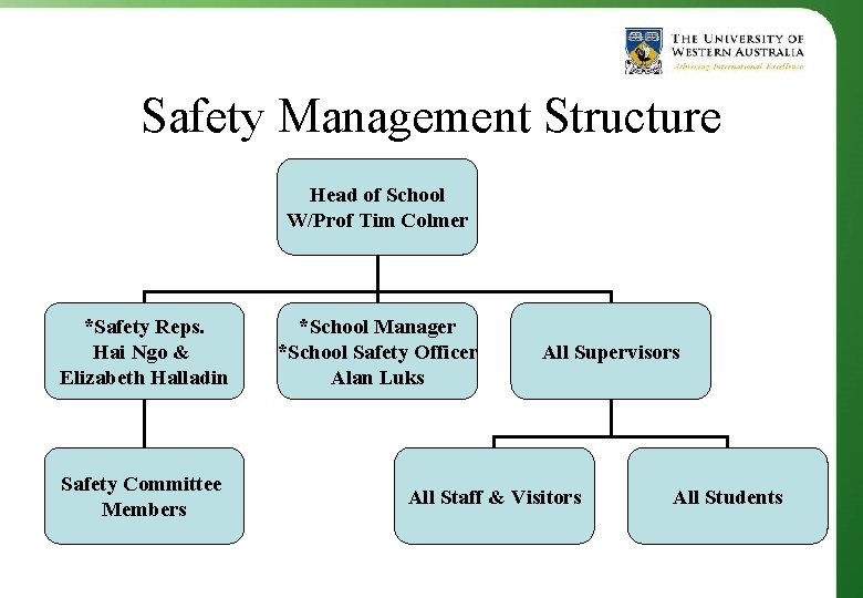 Safety Management Structure Head of School W/Prof Tim Colmer *Safety Reps. Hai Ngo &