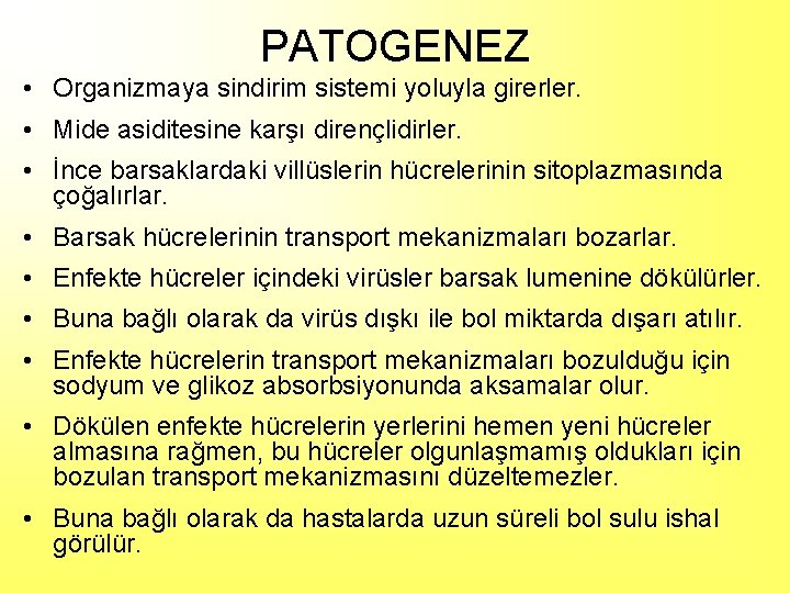 PATOGENEZ • Organizmaya sindirim sistemi yoluyla girerler. • Mide asiditesine karşı dirençlidirler. • İnce