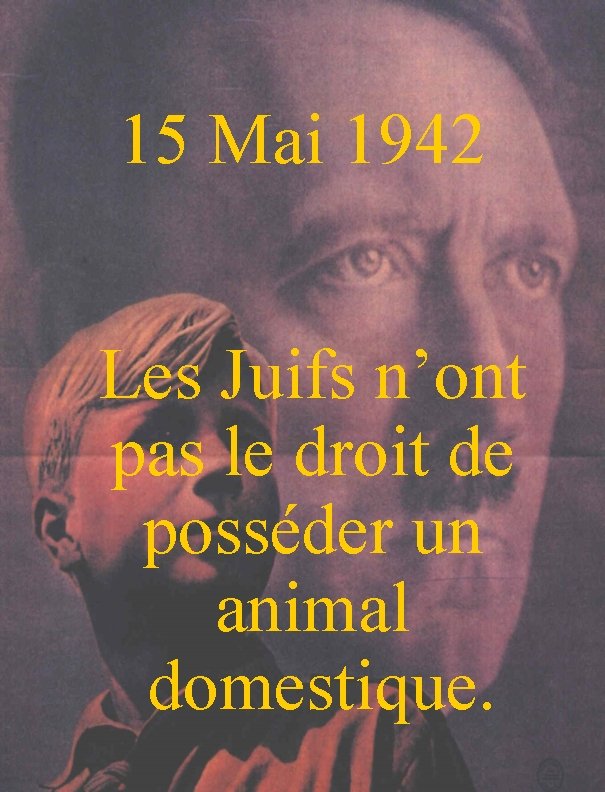 15 Mai 1942 Les Juifs n’ont pas le droit de posséder un animal domestique.