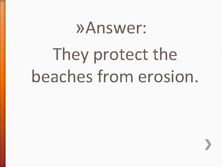 » Answer: They protect the beaches from erosion. 