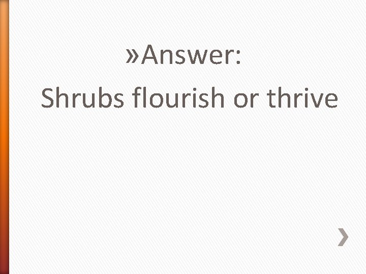 » Answer: Shrubs flourish or thrive 