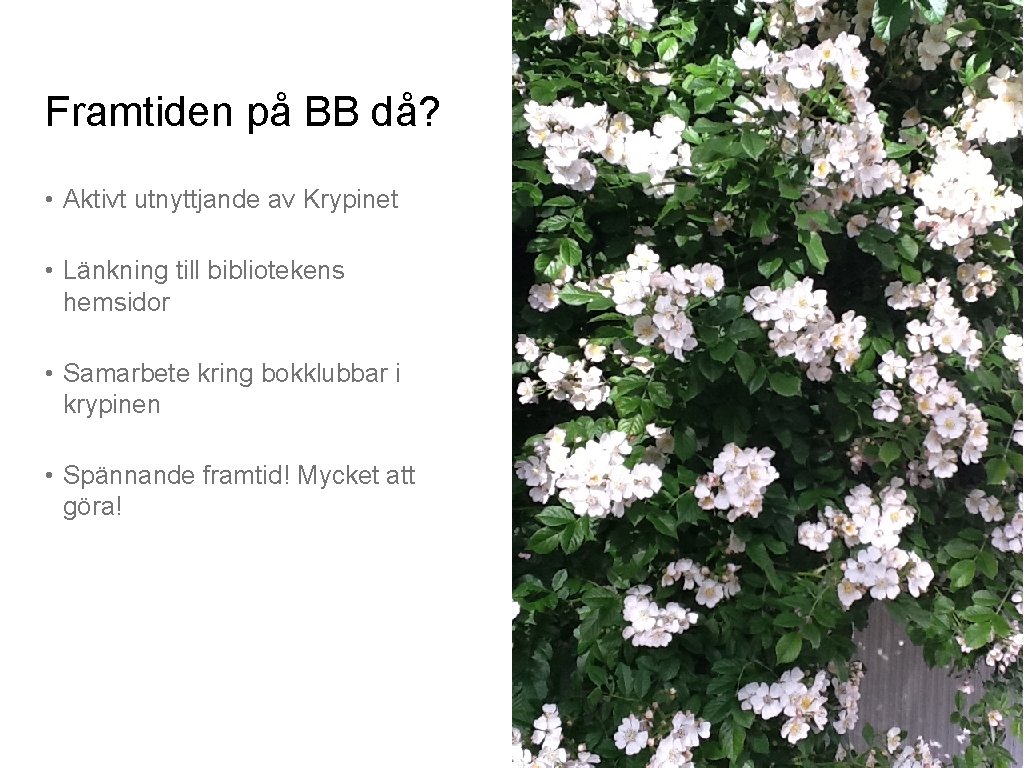 Framtiden på BB då? • Aktivt utnyttjande av Krypinet • Länkning till bibliotekens hemsidor