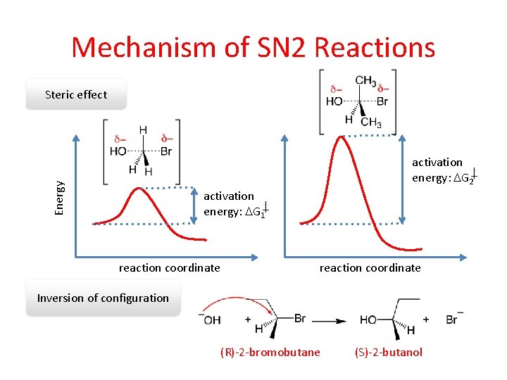 Mechanism of SN 2 Reactions Steric effect Energy activation energy: DG 2 activation energy: