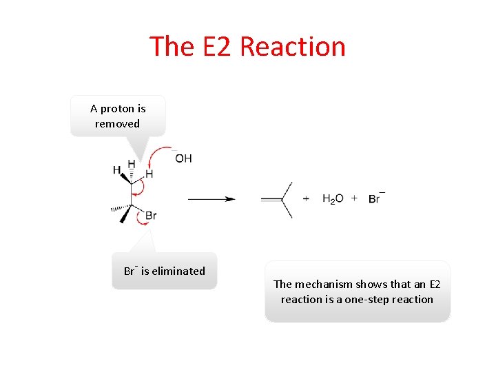 The E 2 Reaction A proton is removed Br- is eliminated The mechanism shows