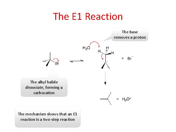 The E 1 Reaction The base removes a proton The alkyl halide dissociate, forming