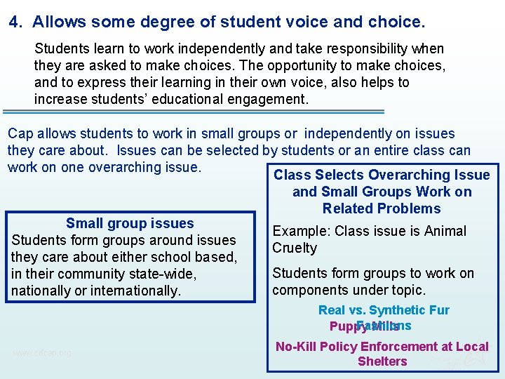 4. Allows some degree of student voice and choice. Students learn to work independently