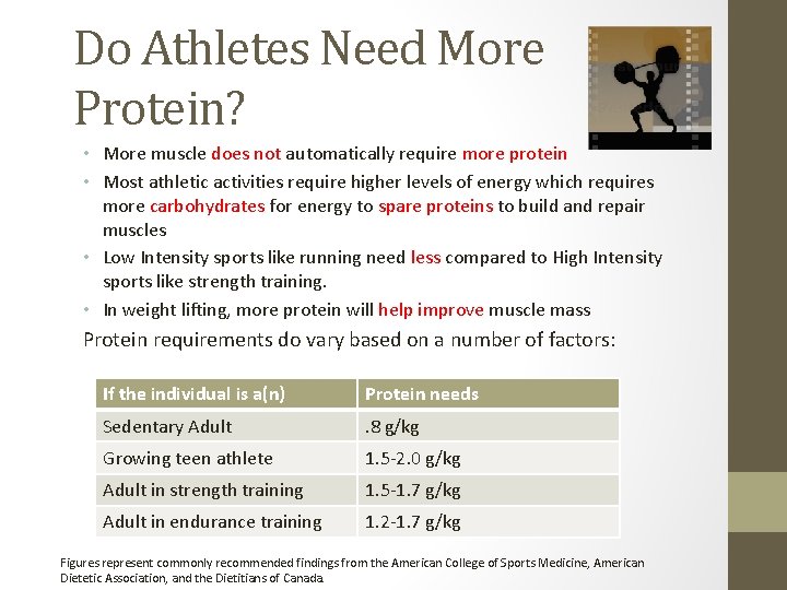 Do Athletes Need More Protein? • More muscle does not automatically require more protein