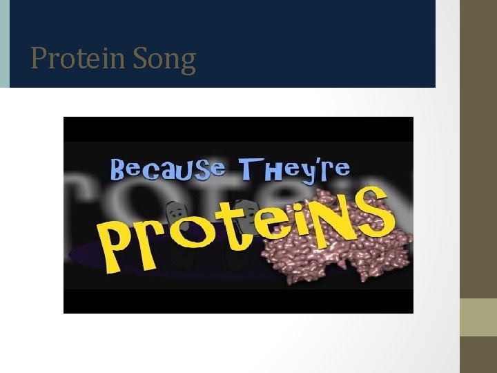 Protein Song 