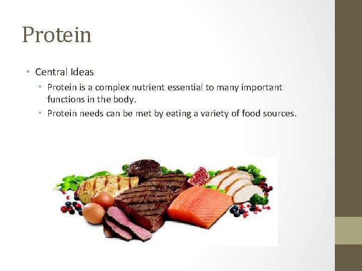 Protein • Central Ideas • Protein is a complex nutrient essential to many important