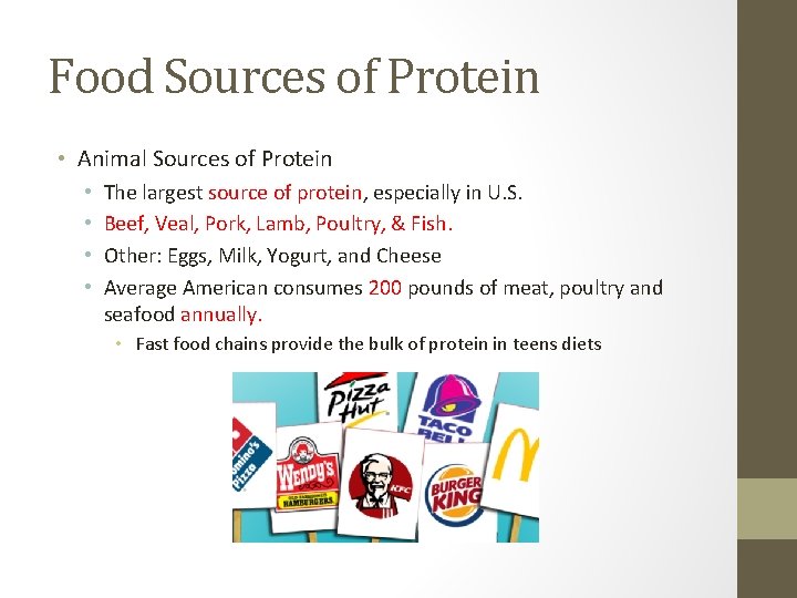 Food Sources of Protein • Animal Sources of Protein • • The largest source
