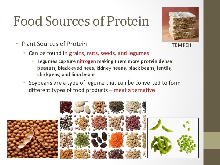 Food Sources of Protein • Plant Sources of Protein TEMPEH • Can be found