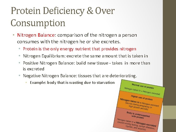 Protein Deficiency & Over Consumption • Nitrogen Balance: comparison of the nitrogen a person