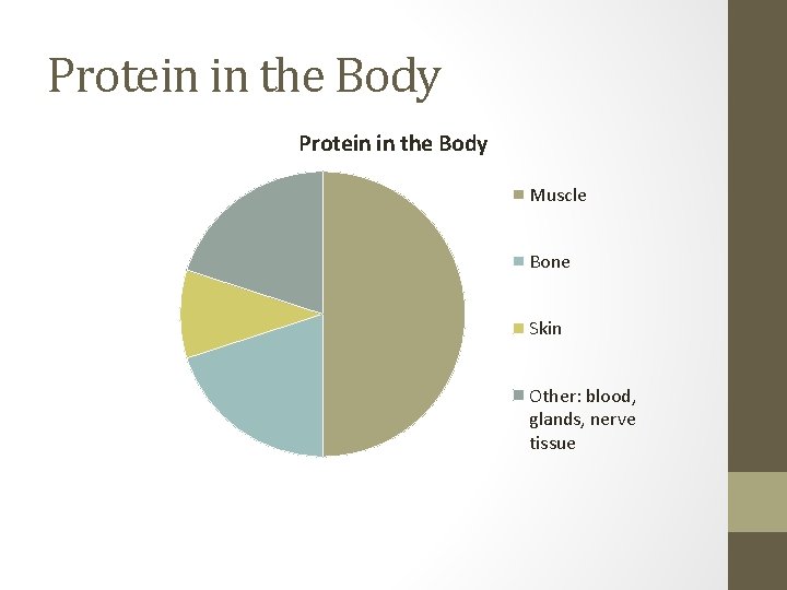 Protein in the Body Muscle Bone Skin Other: blood, glands, nerve tissue 