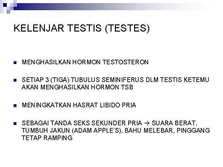 KELENJAR TESTIS (TESTES) n MENGHASILKAN HORMON TESTOSTERON n SETIAP 3 (TIGA) TUBULUS SEMINIFERUS DLM