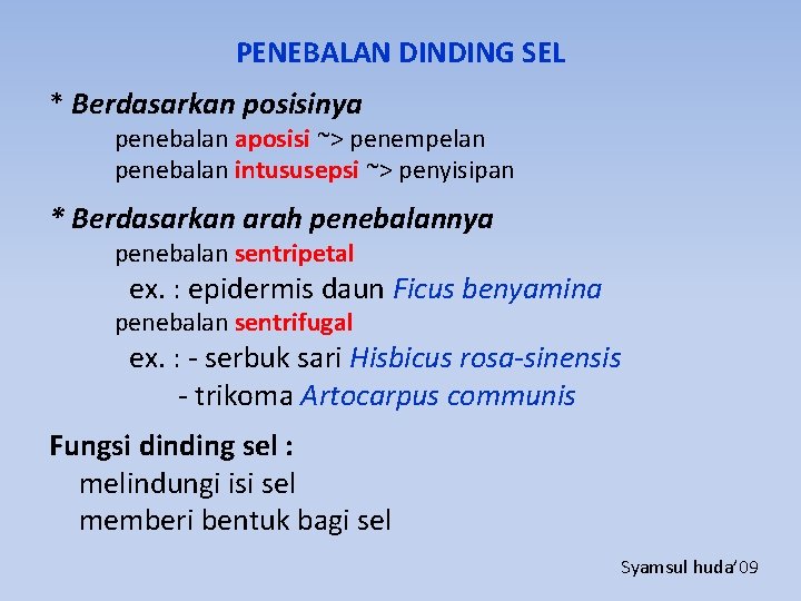PENEBALAN DINDING SEL * Berdasarkan posisinya penebalan aposisi ~> penempelan penebalan intususepsi ~> penyisipan