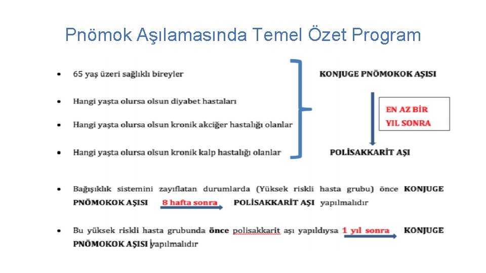 Pnömok Aşılamasında Temel Özet Program 