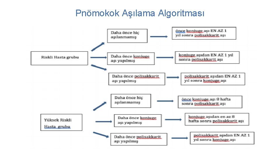 Pnömokok Aşılama Algoritması 