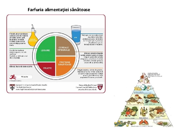 Farfuria alimentaţiei sănătoase 