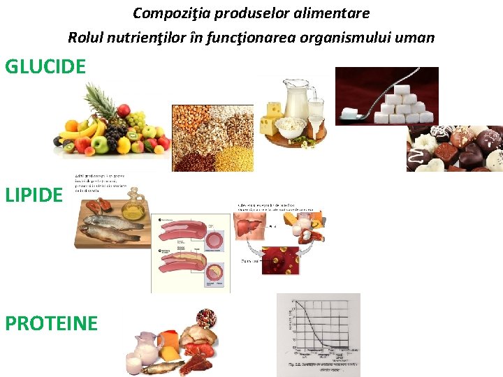 Compoziţia produselor alimentare Rolul nutrienţilor în funcţionarea organismului uman GLUCIDE LIPIDE PROTEINE 