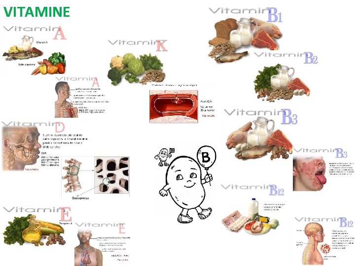 VITAMINE 