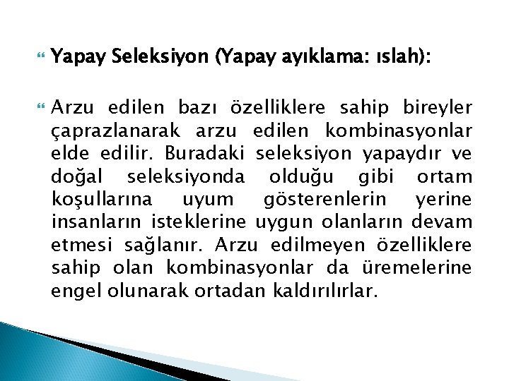  Yapay Seleksiyon (Yapay ayıklama: ıslah): Arzu edilen bazı özelliklere sahip bireyler çaprazlanarak arzu