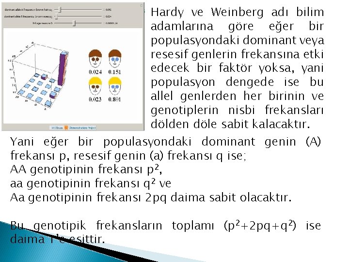  Hardy ve Weinberg adı bilim adamlarına göre eğer bir populasyondaki dominant veya resesif