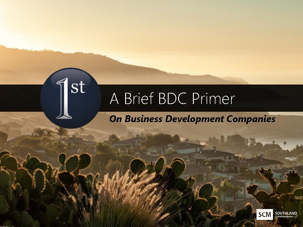 A Brief BDC Primer On Business Development Companies 