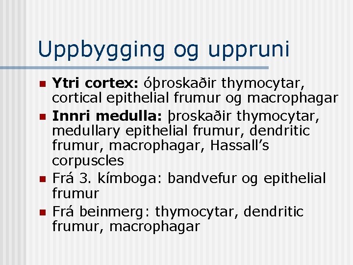 Uppbygging og uppruni n n Ytri cortex: óþroskaðir thymocytar, cortical epithelial frumur og macrophagar