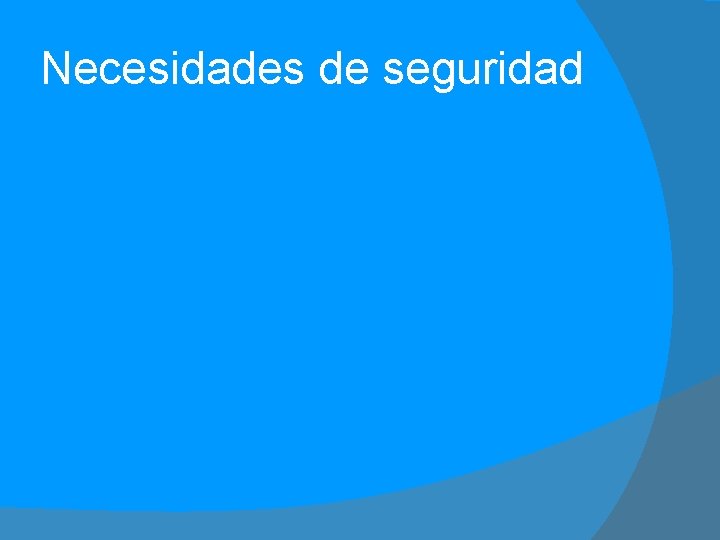 Necesidades de seguridad 