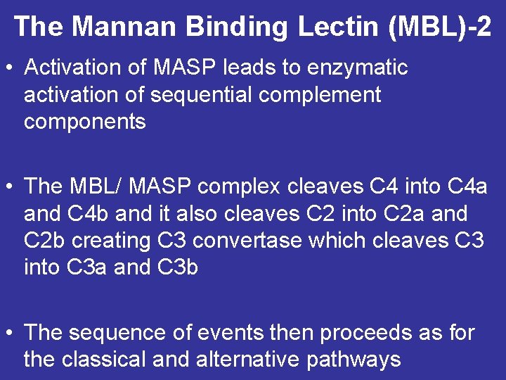 The Mannan Binding Lectin (MBL)-2 • Activation of MASP leads to enzymatic activation of