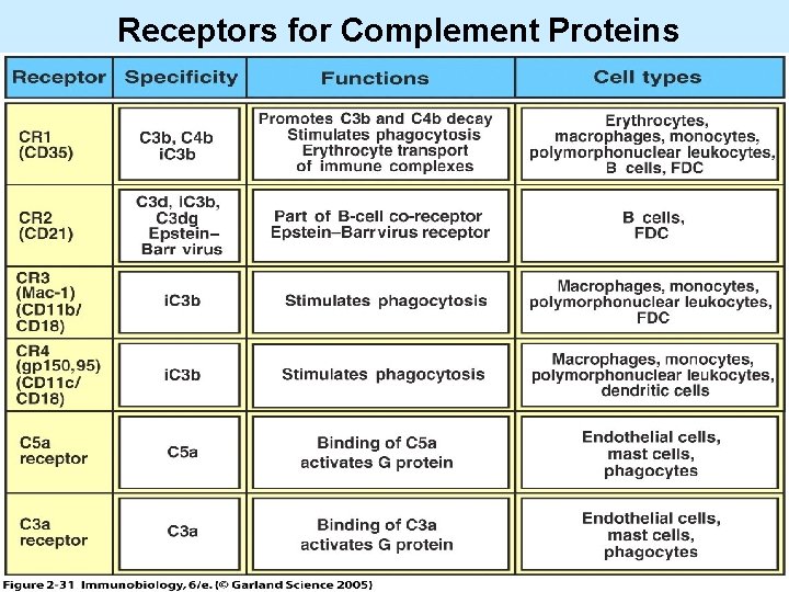 Receptors for Complement Proteins 