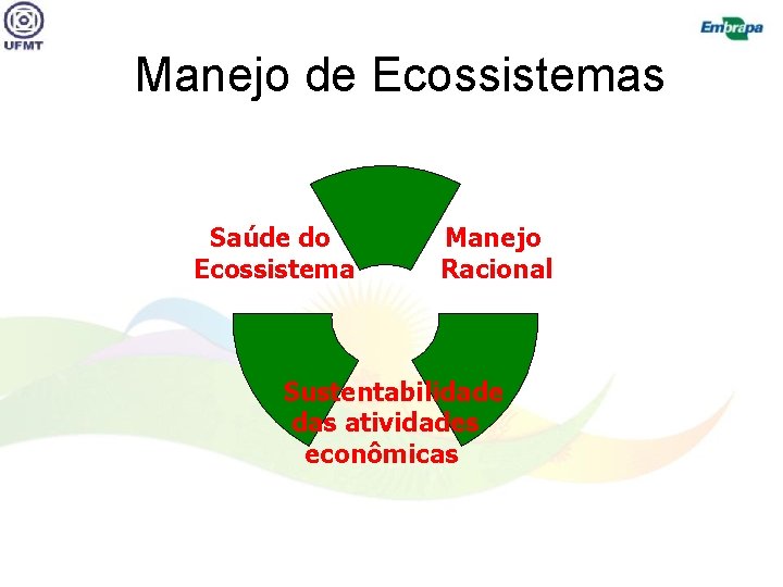 Manejo de Ecossistemas Saúde do Ecossistema Manejo Racional Sustentabilidade das atividades econômicas 