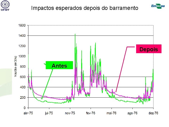 Impactos esperados depois do barramento Depois Antes 