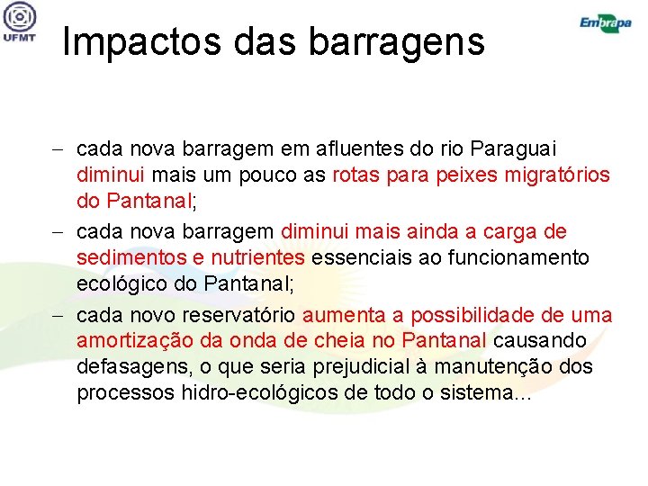 Impactos das barragens cada nova barragem em afluentes do rio Paraguai diminui mais um