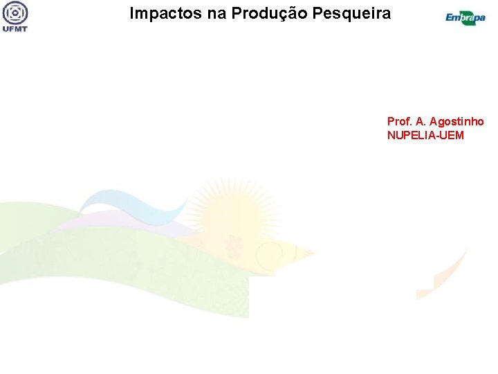 Impactos na Produção Pesqueira Prof. A. Agostinho NUPELIA-UEM 