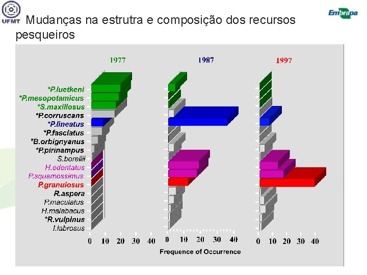 Mudanças na estrutra e composição dos recursos pesqueiros 