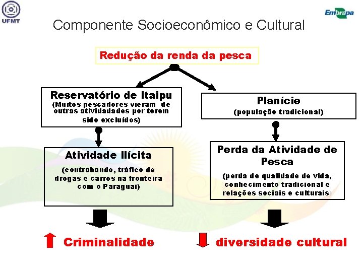 Componente Socioeconômico e Cultural Redução da renda da pesca Reservatório de Itaipu (Muitos pescadores