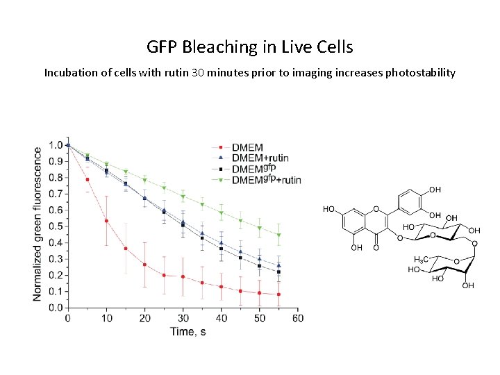 GFP Bleaching in Live Cells Incubation of cells with rutin 30 minutes prior to