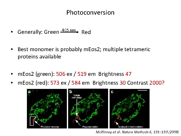 Photoconversion • Generally: Green 405 nm Red • Best monomer is probably m. Eos