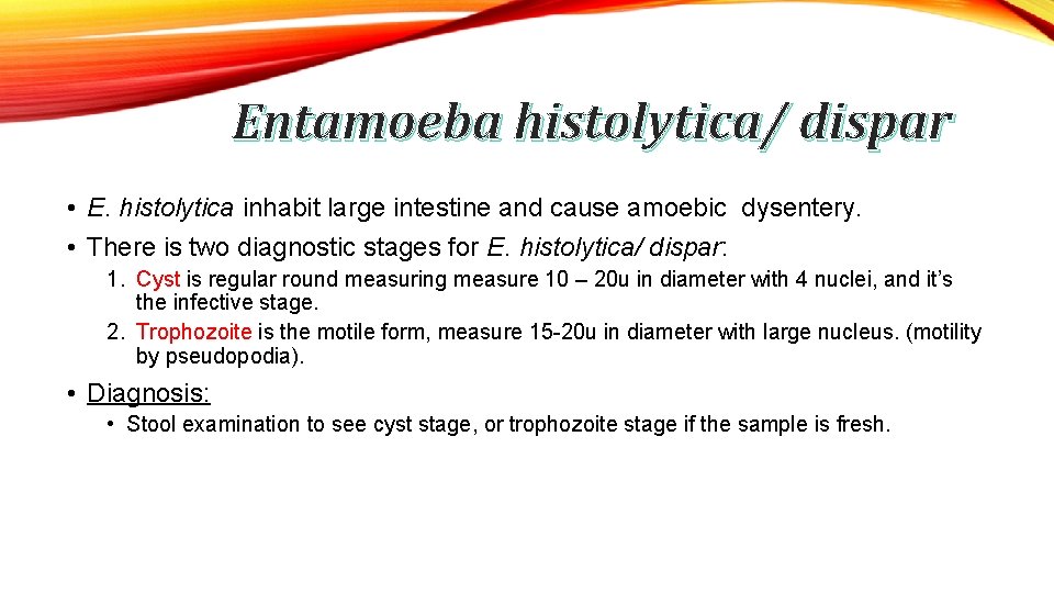 Entamoeba histolytica/ dispar • E. histolytica inhabit large intestine and cause amoebic dysentery. •