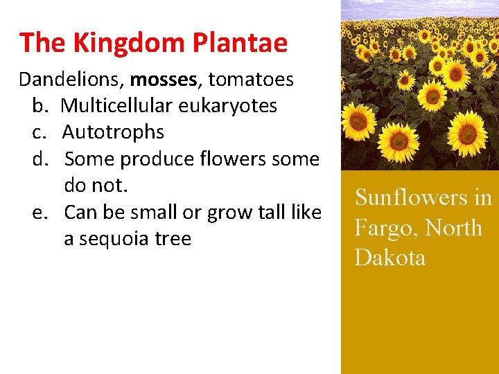 The Kingdom Plantae Dandelions, mosses, tomatoes b. Multicellular eukaryotes c. Autotrophs d. Some produce