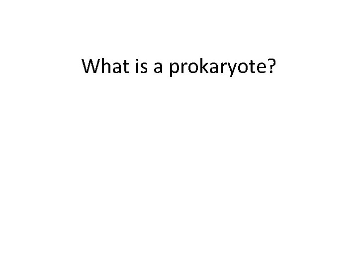 What is a prokaryote? 