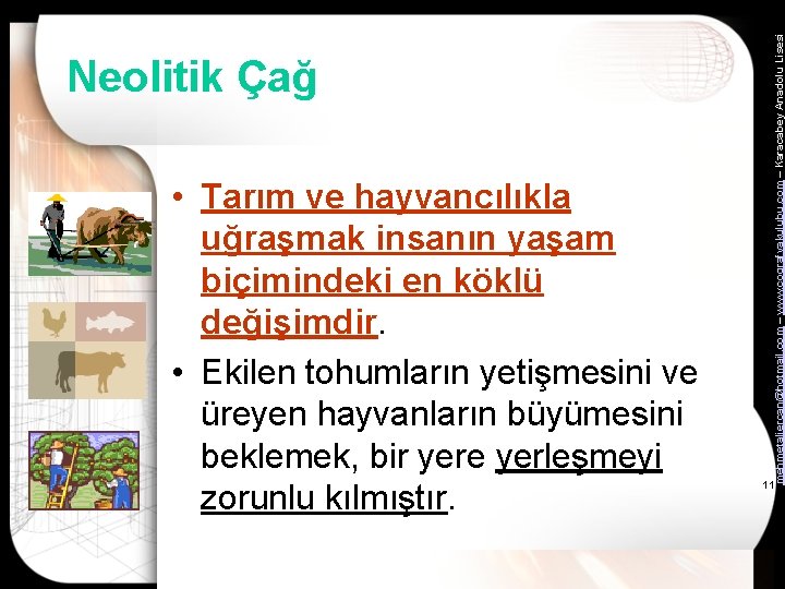  • Tarım ve hayvancılıkla uğraşmak insanın yaşam biçimindeki en köklü değişimdir. • Ekilen