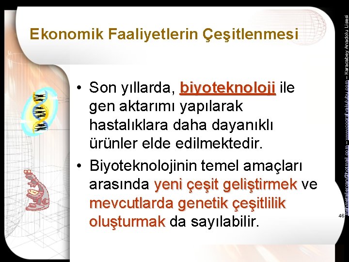  • Son yıllarda, biyoteknoloji ile gen aktarımı yapılarak hastalıklara daha dayanıklı ürünler elde