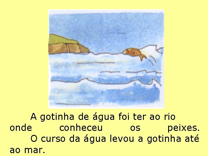 A gotinha de água foi ter ao rio onde conheceu os peixes. O curso