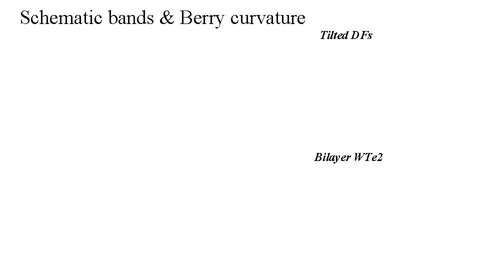 Schematic bands & Berry curvature Tilted DFs Bilayer WTe 2 