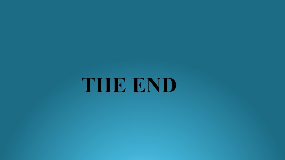 THE END 