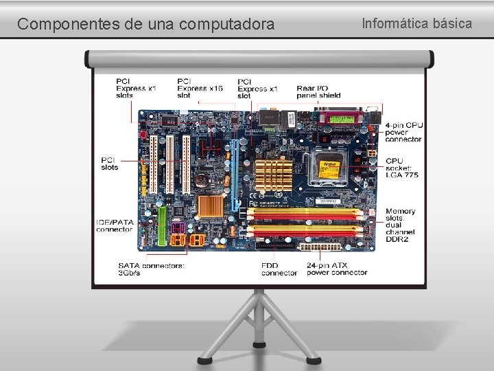 Componentes de una computadora Informática básica 