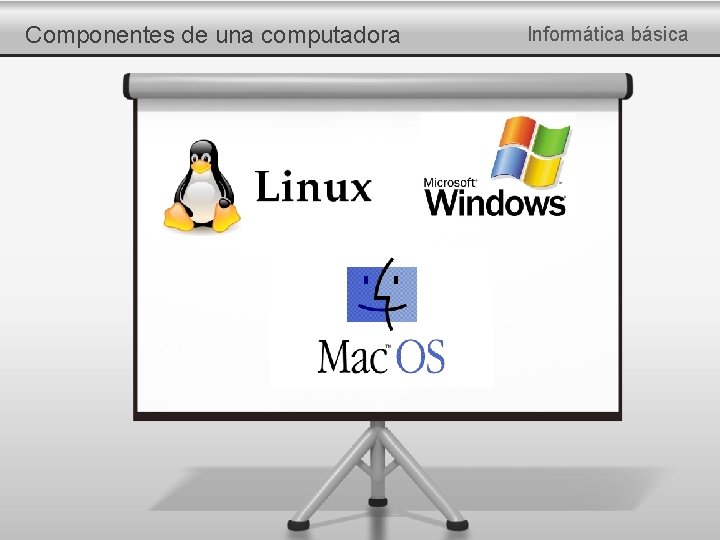 Componentes de una computadora Informática básica 